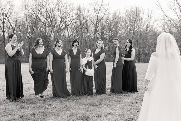 1 Highlights - Brittany Lynn Imagery LLC - STL St Louis MO Wedding Portrait Photographer -12