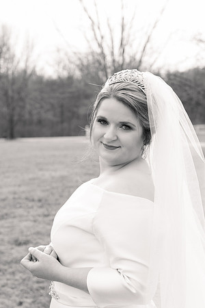 1 Highlights - Brittany Lynn Imagery LLC - STL St Louis MO Wedding Portrait Photographer -27