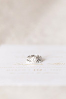 1 Starr Collection - Highlights - Brittany Lynn Imagery LLC - St Charles MO Photographer -2
