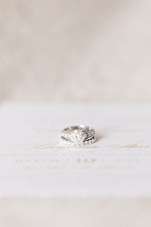 1 Starr Collection - Highlights - Brittany Lynn Imagery LLC - St Charles MO Photographer -2