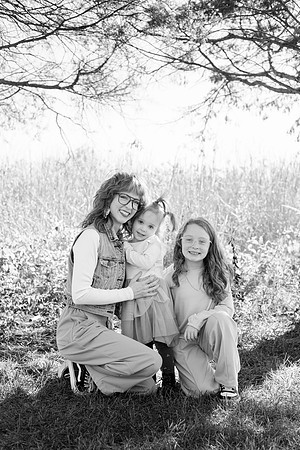 - Brittany Lynn Imagery LLC - Brittany Branson - STL St Louis St Charles MO Portrait Photographer-46