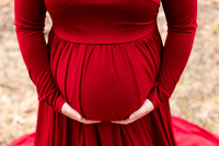 - Brittany Lynn Imagery LLC - STL St Louis MO Wedding Portrait Photographer -5