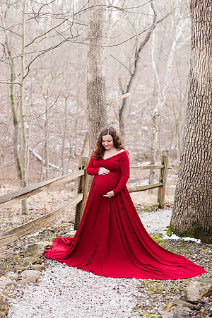 - Brittany Lynn Imagery LLC - STL St Louis MO Wedding Portrait Photographer -1