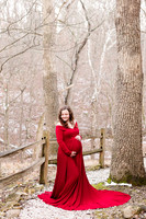 - Brittany Lynn Imagery LLC - STL St Louis MO Wedding Portrait Photographer -2