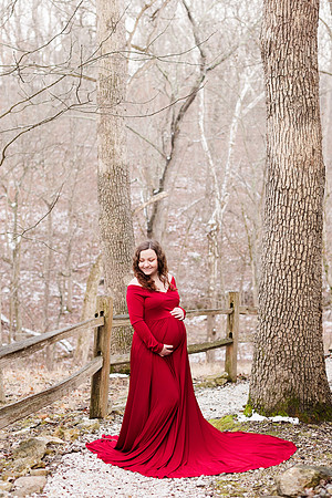 - Brittany Lynn Imagery LLC - STL St Louis MO Wedding Portrait Photographer -2
