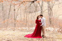 - Brittany Lynn Imagery LLC - STL St Louis MO Wedding Portrait Photographer -4