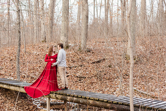 - Brittany Lynn Imagery LLC - STL St Louis MO Wedding Portrait Photographer -6