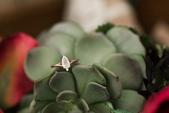 Marry Me Cottage Micro Wedding Elopement - Brittany Lynn Imagery LLC - STL St Louis MO Wedding Portrait Photographer -1