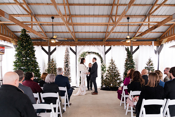 Marry Me Cottage Micro Wedding Elopement - Brittany Lynn Imagery LLC - STL St Louis MO Wedding Portrait Photographer -3