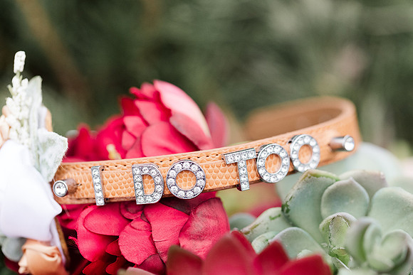 Marry Me Cottage Micro Wedding Elopement - Brittany Lynn Imagery LLC - STL St Louis MO Wedding Portrait Photographer -10