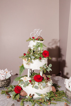 Trigg Banquet Center - Brittany Lynn Imagery LLC - STL St Louis MO Wedding Portrait Photographer -32