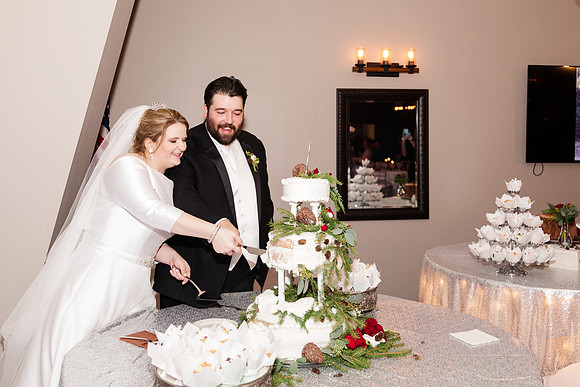 Trigg Banquet Center - Brittany Lynn Imagery LLC - STL St Louis MO Wedding Portrait Photographer -37
