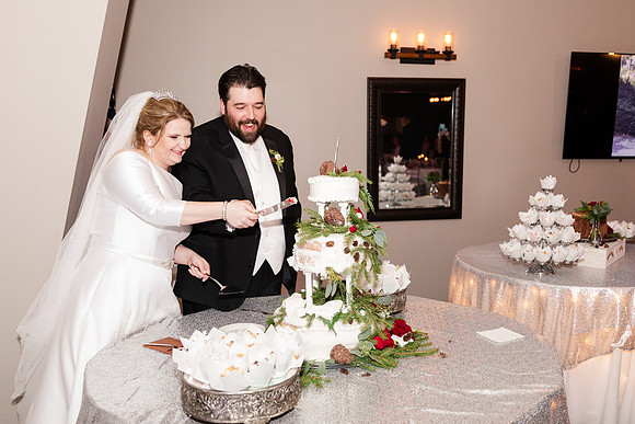 Trigg Banquet Center - Brittany Lynn Imagery LLC - STL St Louis MO Wedding Portrait Photographer -38