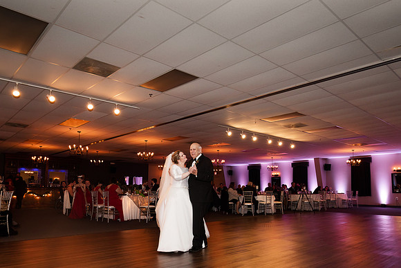 Trigg Banquet Center - Brittany Lynn Imagery LLC - STL St Louis MO Wedding Portrait Photographer -45