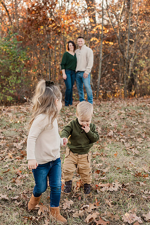 Broemmelsiek Park - Family Collection - Brittany Lynn Imagery LLC - STL St Louis MO Wedding Portrait Photographer -10