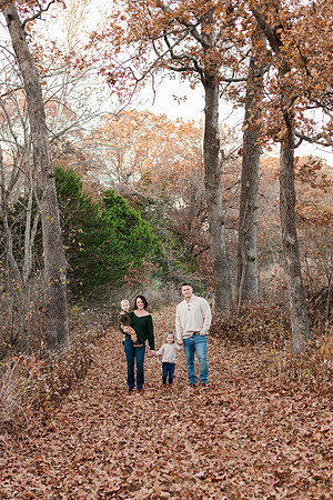 Broemmelsiek Park - Family Collection - Brittany Lynn Imagery LLC - STL St Louis MO Wedding Portrait Photographer -22