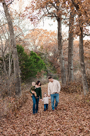 Broemmelsiek Park - Family Collection - Brittany Lynn Imagery LLC - STL St Louis MO Wedding Portrait Photographer -24