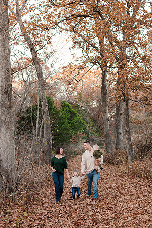 Broemmelsiek Park - Family Collection - Brittany Lynn Imagery LLC - STL St Louis MO Wedding Portrait Photographer -29
