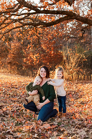 Broemmelsiek Park - Family Collection - Brittany Lynn Imagery LLC - STL St Louis MO Wedding Portrait Photographer -35