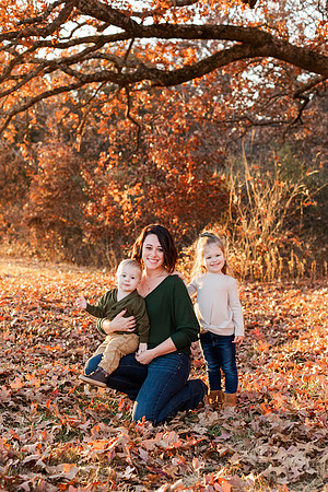 Broemmelsiek Park - Family Collection - Brittany Lynn Imagery LLC - STL St Louis MO Wedding Portrait Photographer -36