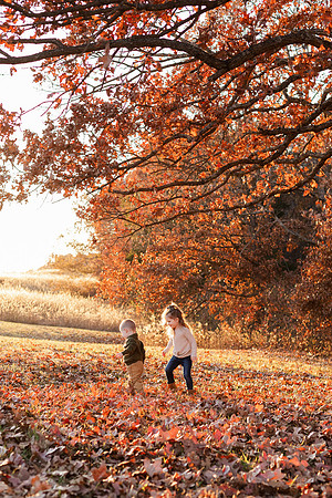 Broemmelsiek Park - Family Collection - Brittany Lynn Imagery LLC - STL St Louis MO Wedding Portrait Photographer -38