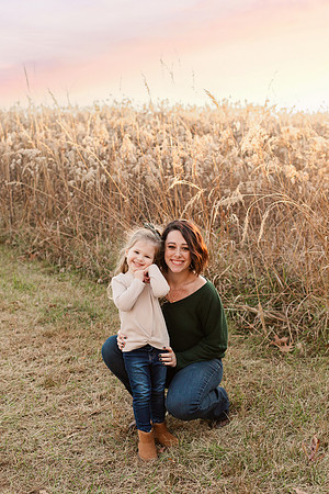 Broemmelsiek Park - Family Collection - Brittany Lynn Imagery LLC - STL St Louis MO Wedding Portrait Photographer -45