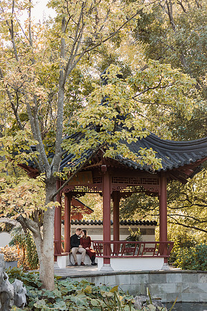 Taylor and Adam Hoskins - Missouri Botanical Garden Portrait Session - Brittany Lynn Imagery LLC - STL St Louis MO Wedding Portrait Photographer -1