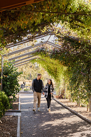 Taylor and Adam Hoskins - Missouri Botanical Garden Portrait Session - Brittany Lynn Imagery LLC - STL St Louis MO Wedding Portrait Photographer -18