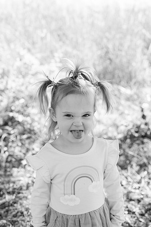 - Brittany Lynn Imagery LLC - Brittany Branson - STL St Louis St Charles MO Portrait Photographer-105