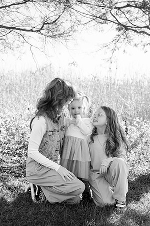 - Brittany Lynn Imagery LLC - Brittany Branson - STL St Louis St Charles MO Portrait Photographer-51