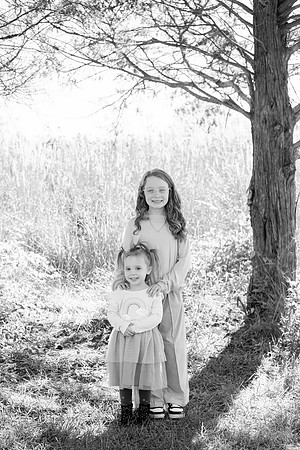 - Brittany Lynn Imagery LLC - Brittany Branson - STL St Louis St Charles MO Portrait Photographer-5