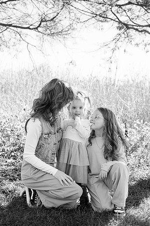 - Brittany Lynn Imagery LLC - Brittany Branson - STL St Louis St Charles MO Portrait Photographer-52