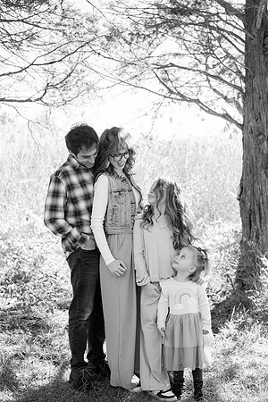 - Brittany Lynn Imagery LLC - Brittany Branson - STL St Louis St Charles MO Portrait Photographer-96