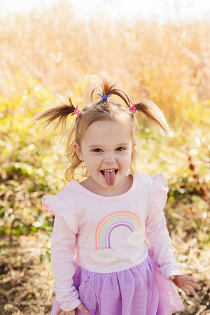 - Brittany Lynn Imagery LLC - Brittany Branson - STL St Louis St Charles MO Portrait Photographer-16