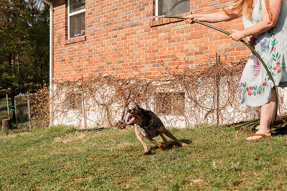 Heather and Dan Witcher - Brittany Lynn Imagery LLC - St Charles MO Photographer -9