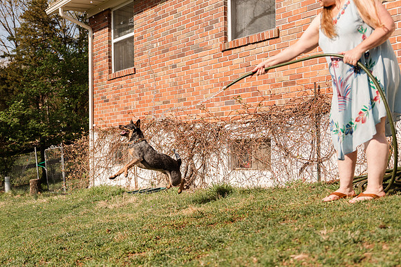 Heather and Dan Witcher - Brittany Lynn Imagery LLC - St Charles MO Photographer -14