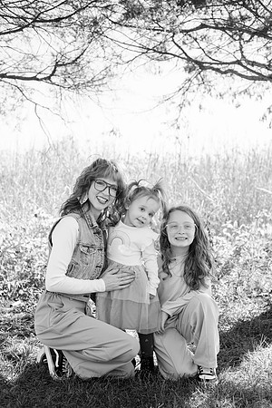 - Brittany Lynn Imagery LLC - Brittany Branson - STL St Louis St Charles MO Portrait Photographer-58