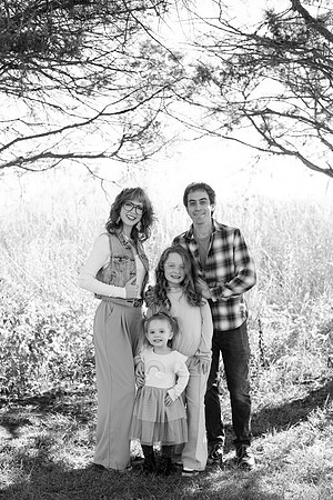 - Brittany Lynn Imagery LLC - Brittany Branson - STL St Louis St Charles MO Portrait Photographer-117