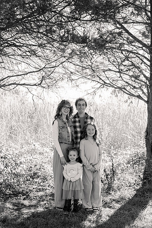 - Brittany Lynn Imagery LLC - Brittany Branson - STL St Louis St Charles MO Portrait Photographer-21