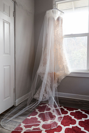 Perez 1 - Brittany Lynn Imagery LLC - St Charles MO Photographer -1