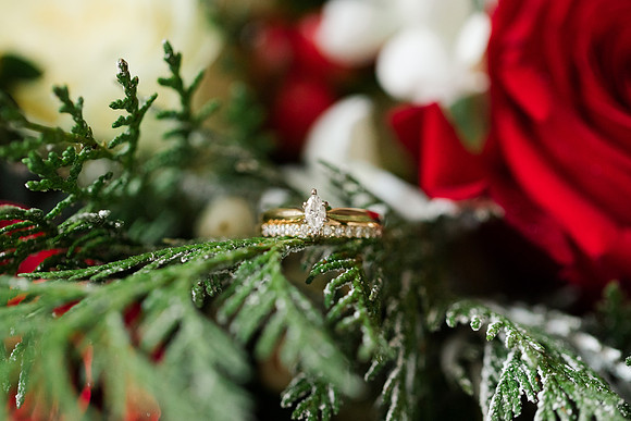 Perez 1 - Brittany Lynn Imagery LLC - St Charles MO Photographer -13