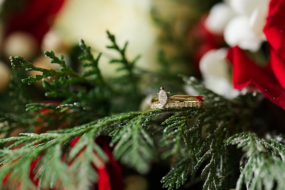 Perez 1 - Brittany Lynn Imagery LLC - St Charles MO Photographer -14