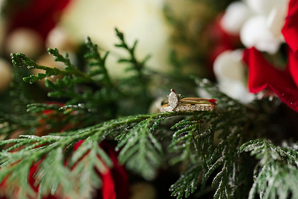 Perez 1 - Brittany Lynn Imagery LLC - St Charles MO Photographer -15