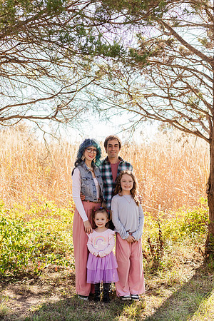 - Brittany Lynn Imagery LLC - Brittany Branson - STL St Louis St Charles MO Portrait Photographer-1