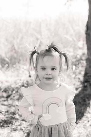- Brittany Lynn Imagery LLC - Brittany Branson - STL St Louis St Charles MO Portrait Photographer-14