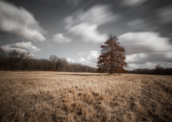 Conspicuous Wind II