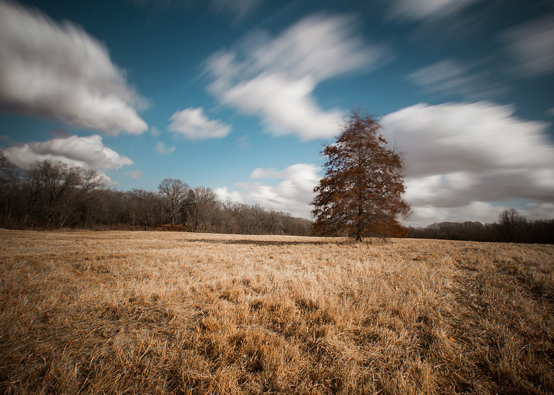Conspicuous Wind