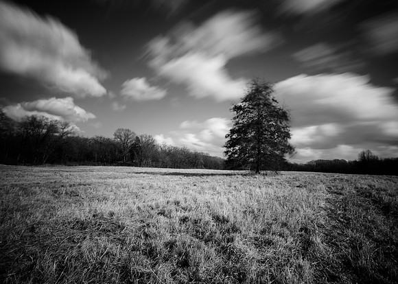 Conspicuous Wind III