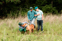 Hicks Family - Broemmelsiek Park - Brittany Lynn Imagery LLC - St Charles MO Photographer -20