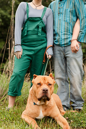 Hicks Family - Broemmelsiek Park - Brittany Lynn Imagery LLC - St Charles MO Photographer -23